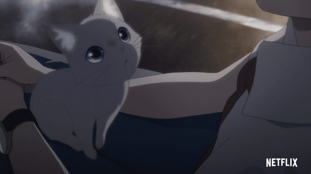 Olhos de Gato | Saiba detalhes do anime da Netflix 4
