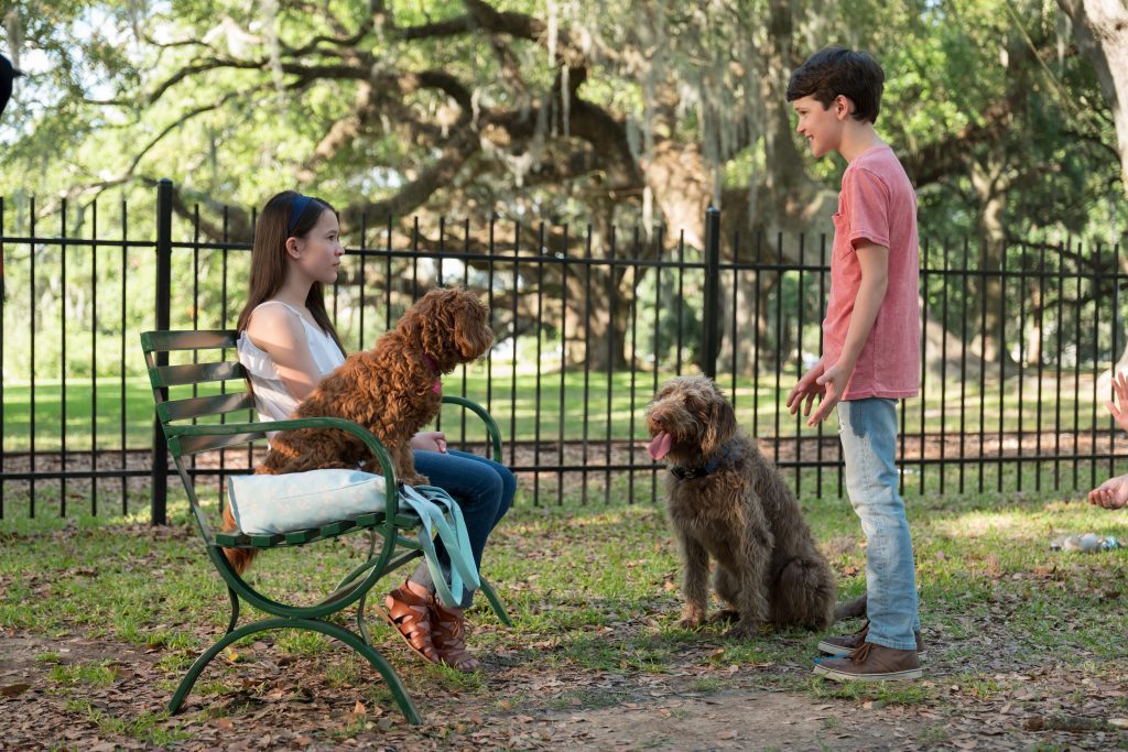 Uma Mente Canina | Conheça o filme em alta na Netflix 8