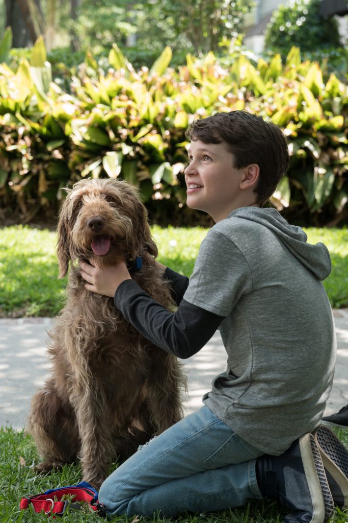 Uma Mente Canina | Conheça o filme em alta na Netflix 5