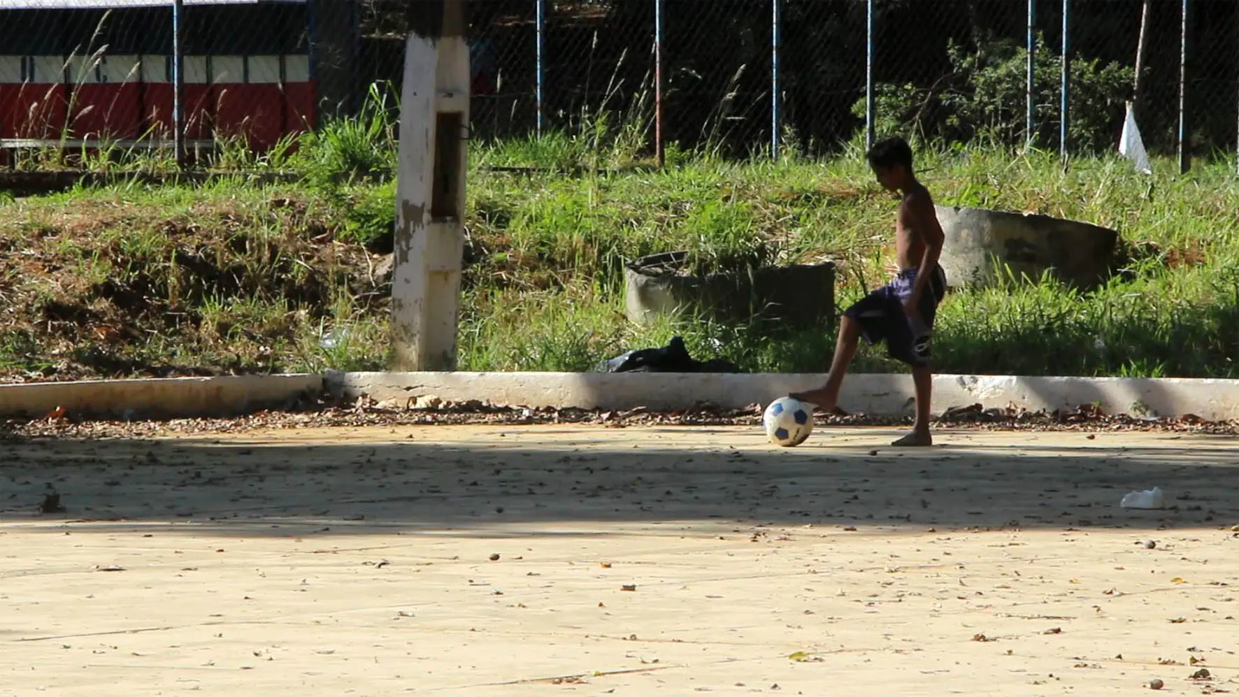 Panorama Diversidade
