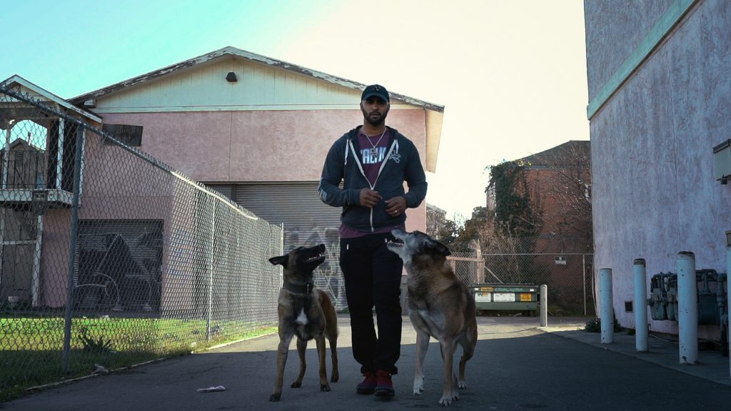 Intervenção Canina é a nova série animal da Netflix