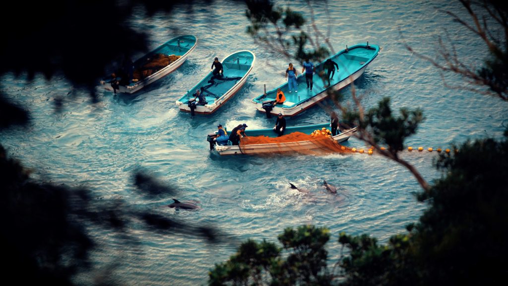 seaspiracy mar vermelho é o documentário denúncia que estreia na Netflix