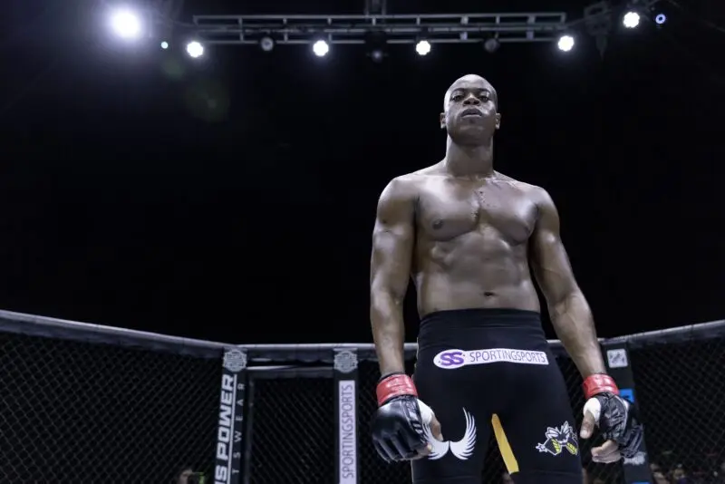 anderson spider silva