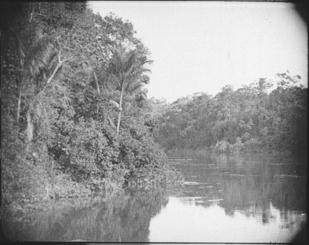 Amazonas - O Maior Rio do Mundo | Cinemateca Brasileira promove sessões especiais do filme de 1918 3